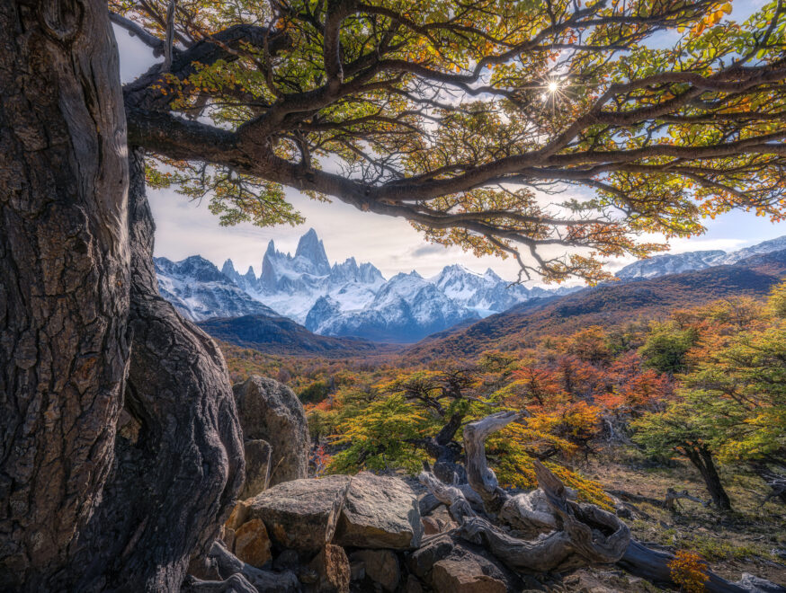 PATAGONIA